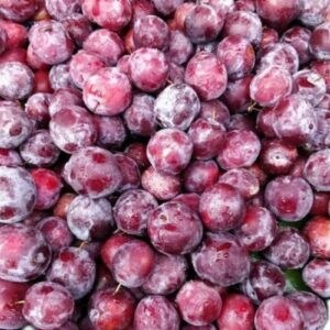Frozen Phalsa