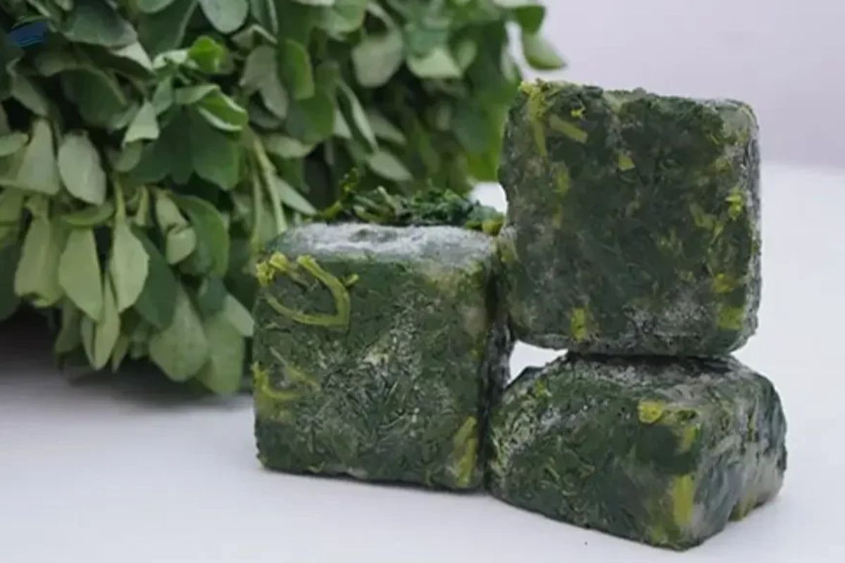 Frozen Methi Cubes